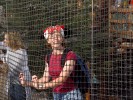 The girls watch as the guys tumble & roll down the netting