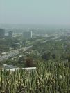 typical L.A. Traffic