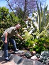 The cactus attacked me