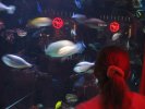Fish!